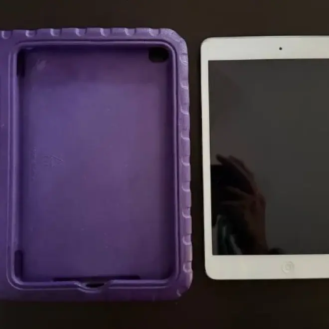 iPad mini 2